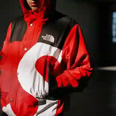 Supreme x The North Face S Logo Mountain Jacket
