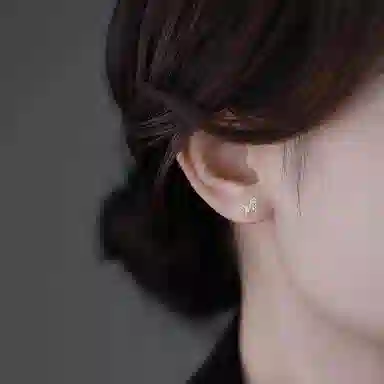 HMZ ins S999