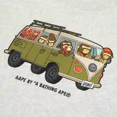 Aape T
