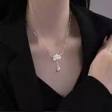 ins 990
