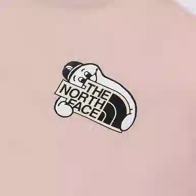 THE NORTH FACE T