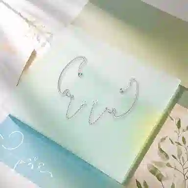 Inkopper ins