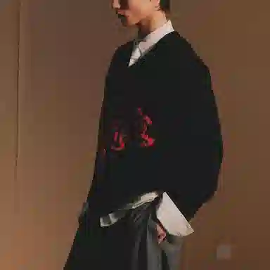 ZARA AO YES SS25 V-Neck Knit Sweater