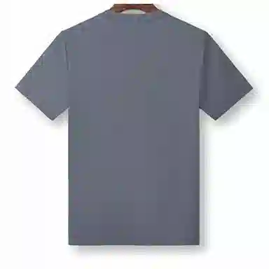 fdragon T