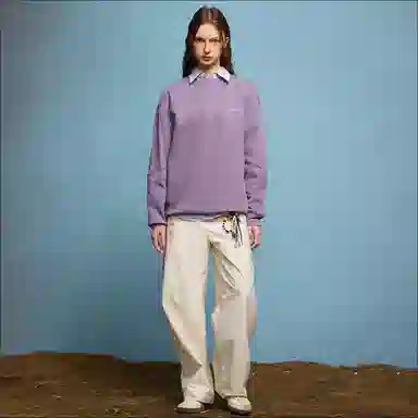 WILLIAM FOXSONS mini