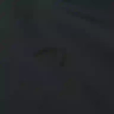 HEAD