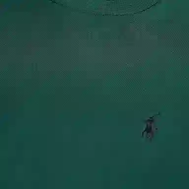 Polo Ralph Lauren FW24