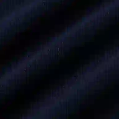 Polo Ralph Lauren Polo