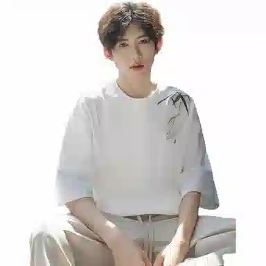 HSWLD T