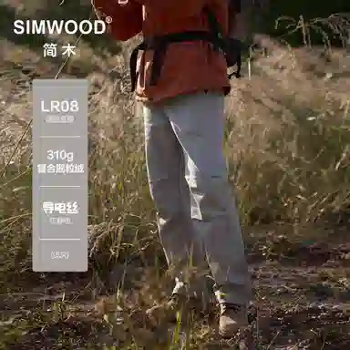 SIMWOOD LR08310g