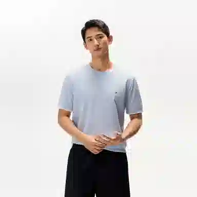 Tommy Hilfiger T