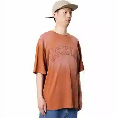 Dickies logoT
