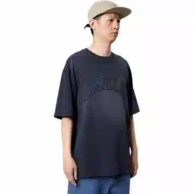 Dickies logoT