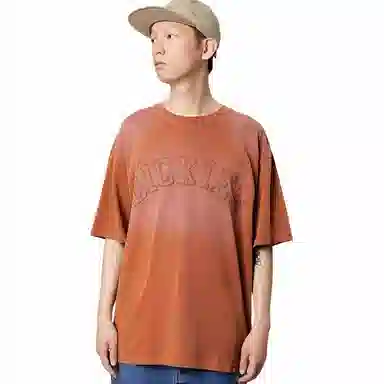 Dickies logoT