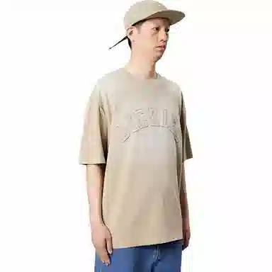 Dickies logoT
