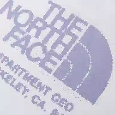 THE NORTH FACE logo T