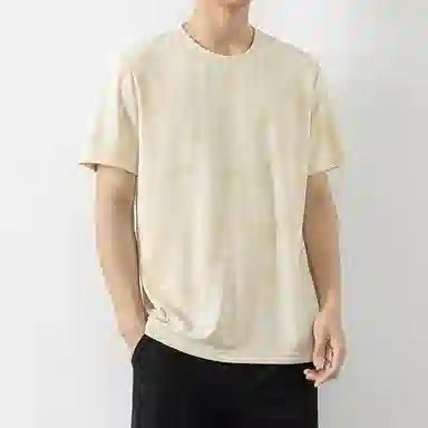 LISENPOK T