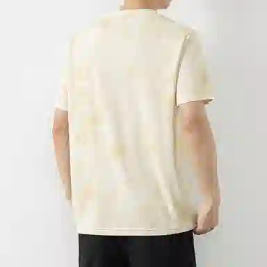 LISENPOK T