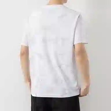 LISENPOK T