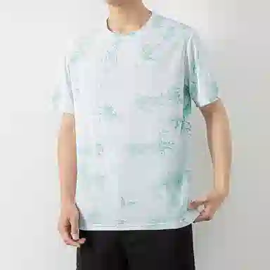 LISENPOK T