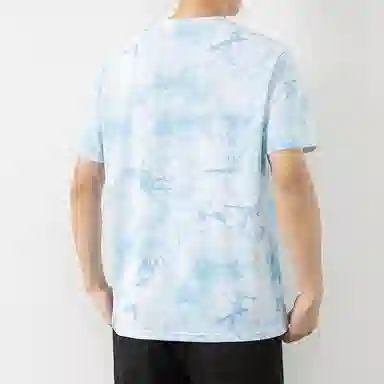 LISENPOK T