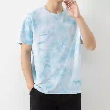 LISENPOK T