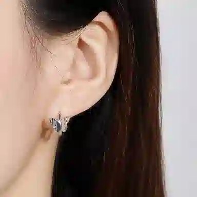 INS S925