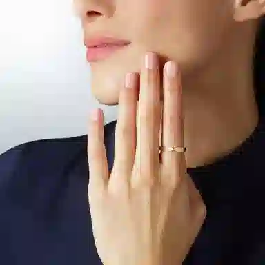 Chaumet Triomphe de Chaumet