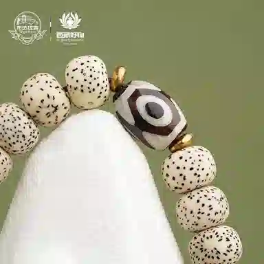 布达拉宫 新中式转运招财纳福手持多圈文玩盘串#好运 星月菩提 珠串 男女同款情侣款