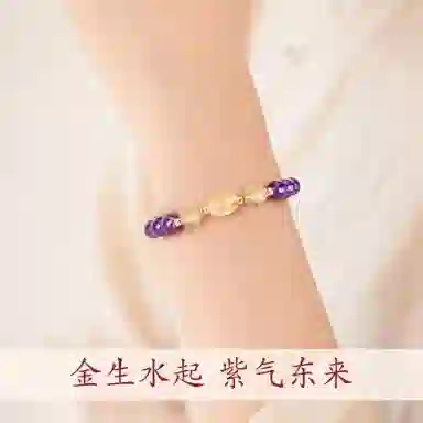 阿梵尼 财源广进 新中式貔貅国潮招财纳福 财源滚滚小众轻奢设计简约百搭复古好运天然 紫水晶 手串 女款