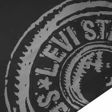 levis SS24 SS24 LOGO T