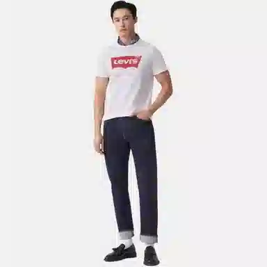 levis logoT