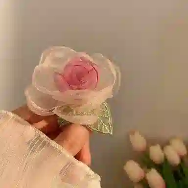 DAISY BEAUTY