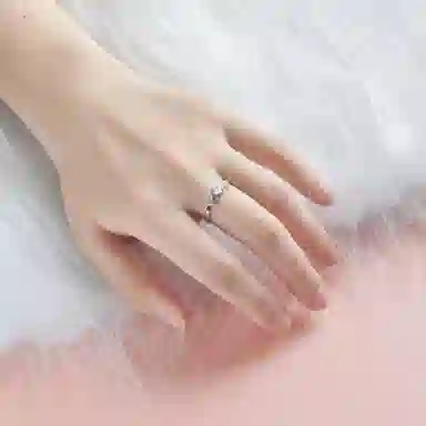 DVNRR s925