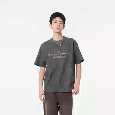 HIPANDA T