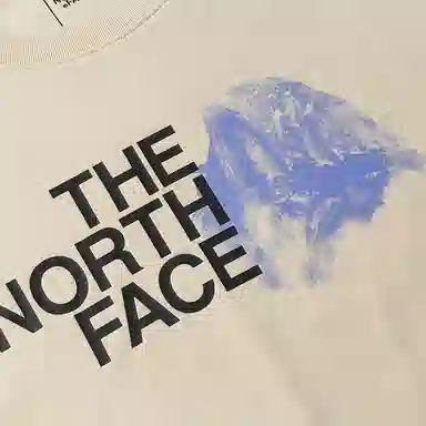 THE NORTH FACE T