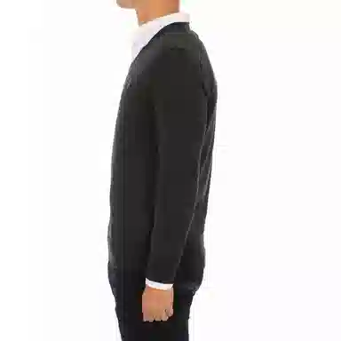 Polo Ralph Lauren LogoV