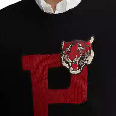 Polo Ralph Lauren FW24 Logo