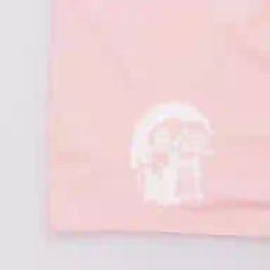 Jordan Crewneck T-Shirt Legend Pink