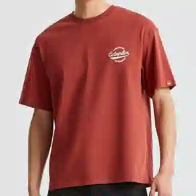 CAT SS23 3DT