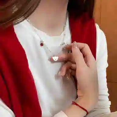 ins S925