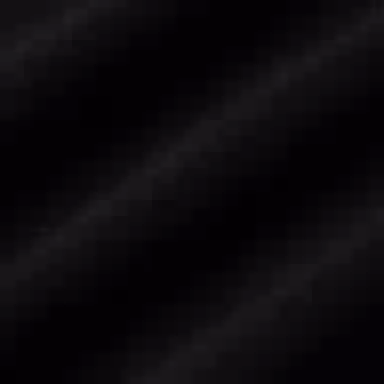 Lanvin SS22 Pullover Sweatshirt Black