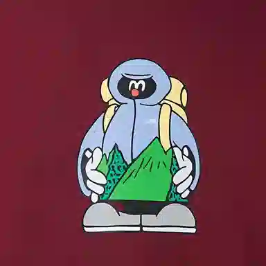 THE NORTH FACE SS25 T