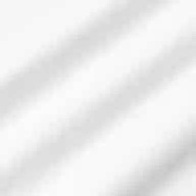 Polo Ralph Lauren FW23 Logo