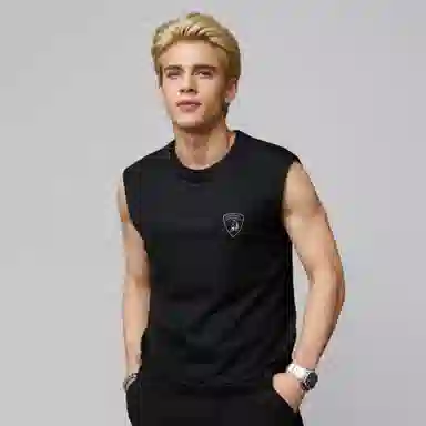 Automobili Lamborghini logo