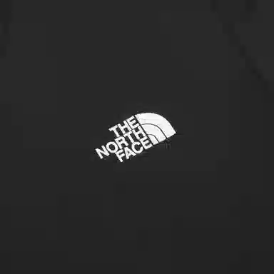THE NORTH FACE M'S EX RECOVERY SSRTEE LogoT