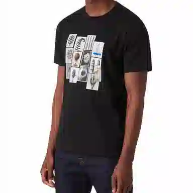 Paul Smith T