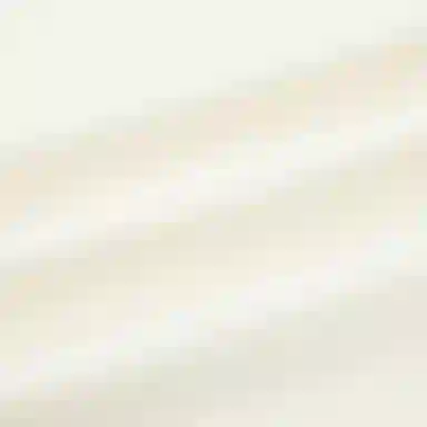 HLA JEANS Polo