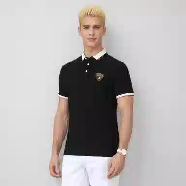Automobili Lamborghini logoPolo