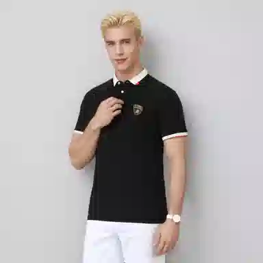 Automobili Lamborghini logoPolo